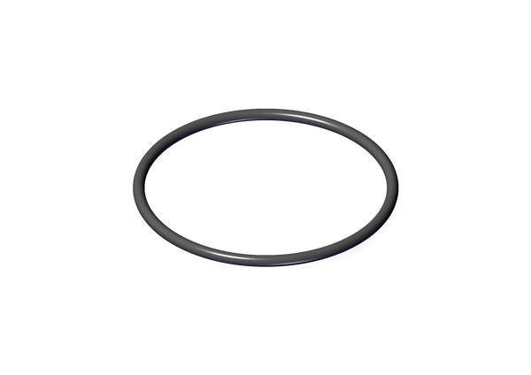 Manifold Neck O-ring