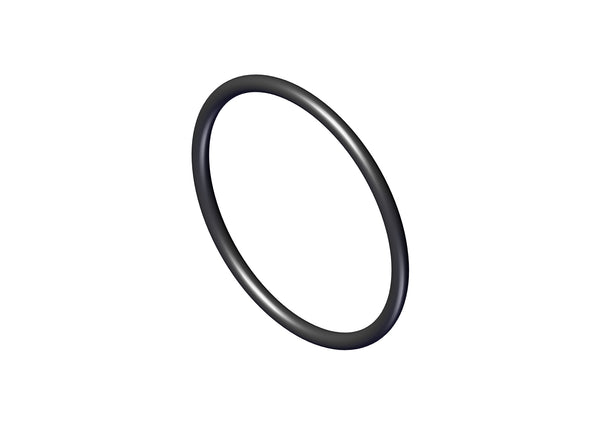 Manifold Neck O-Ring